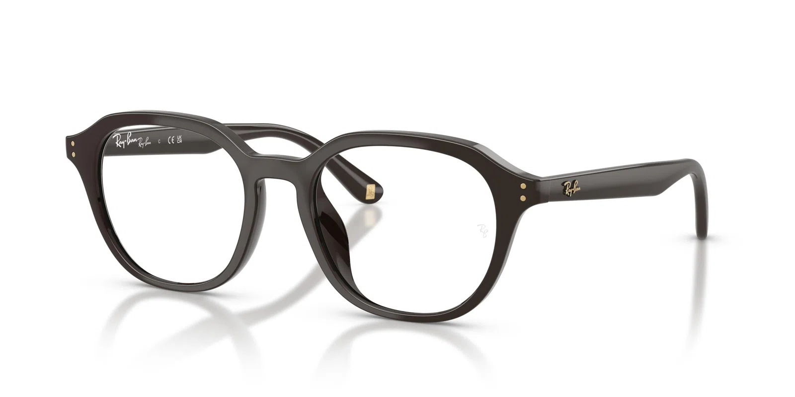 Ray-Ban 7259D Eyeglasses - view 43